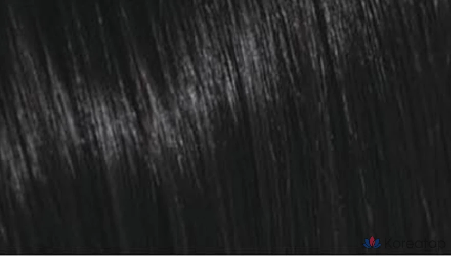 Пищевой краситель Ryo Ua Chae, 2N Dongang Black, 1 шт.