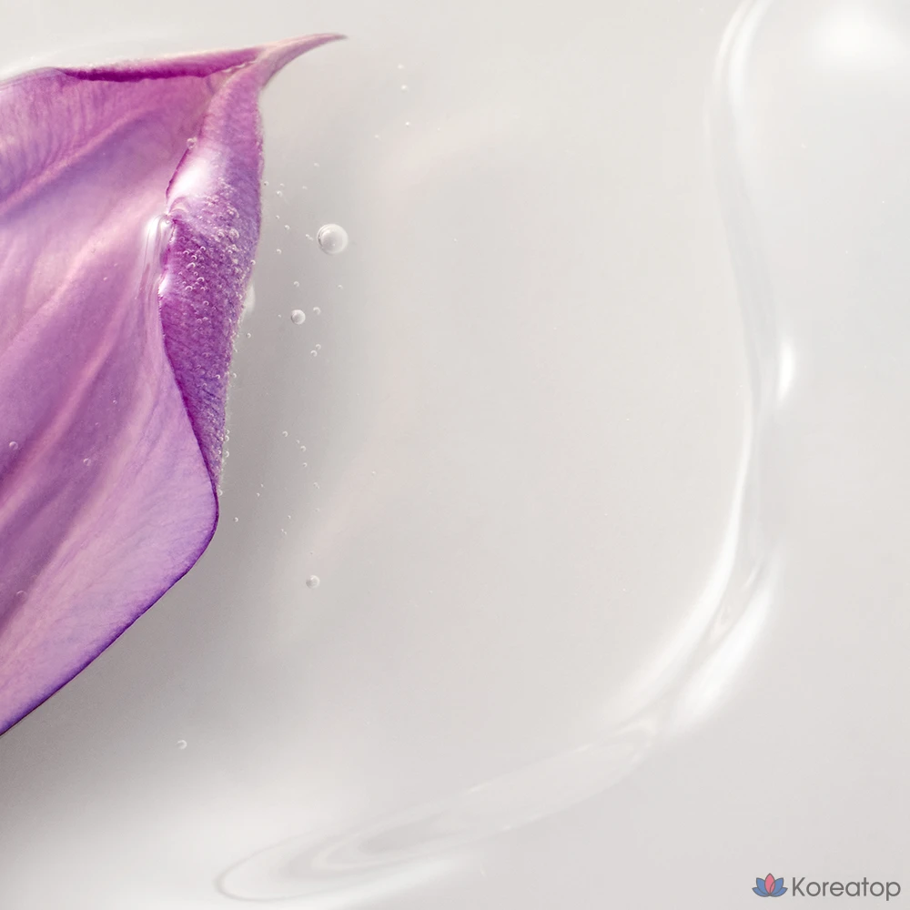 Набор для ухода за кожей и лосьонами Innisfree Hanran, 1 комплект., фото 5