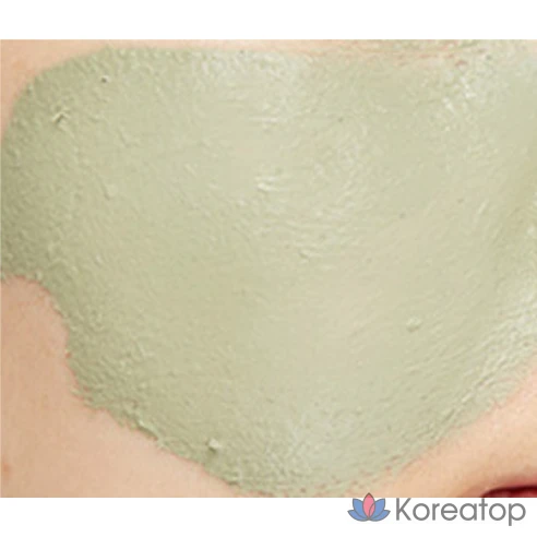 Пенка для умывания Missha Artemisia Pack Foam Cleanser