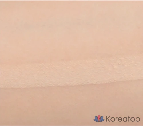 Стик-консилер Missha Stay Stick Concealer High Cover, оттенок 21 Vanilla, 2.8 г, 1 шт.