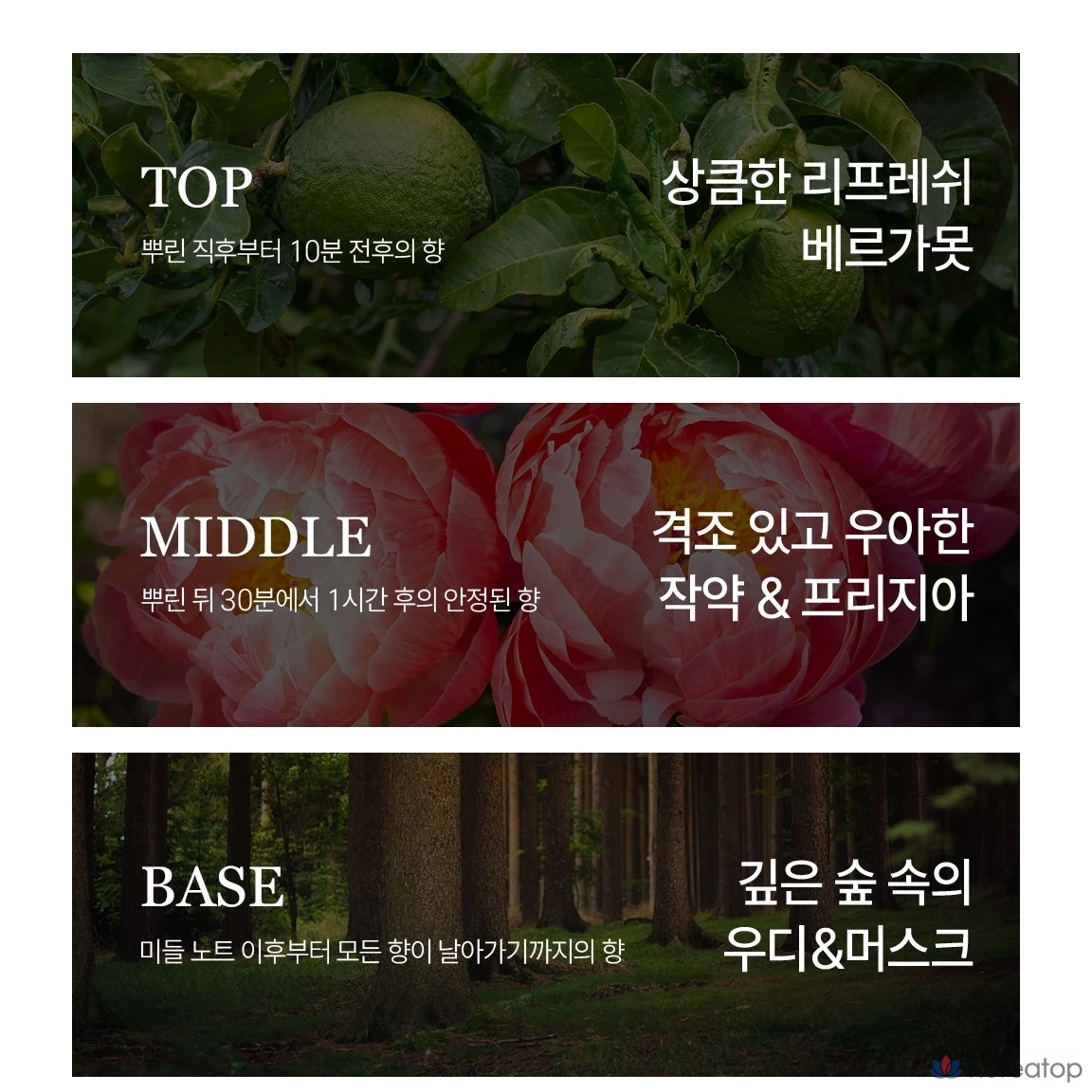 Keinichi Romantic Breeze Мужская и женская парфюмированная вода, 100 мл, 1 шт.