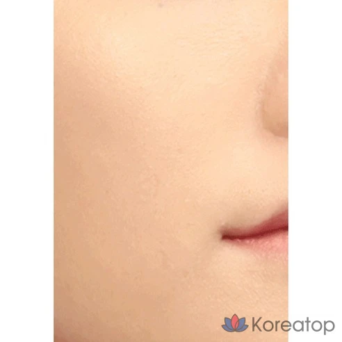 Тональная основа Missha Stay High Cover Cushion Foundation № 21 Fair