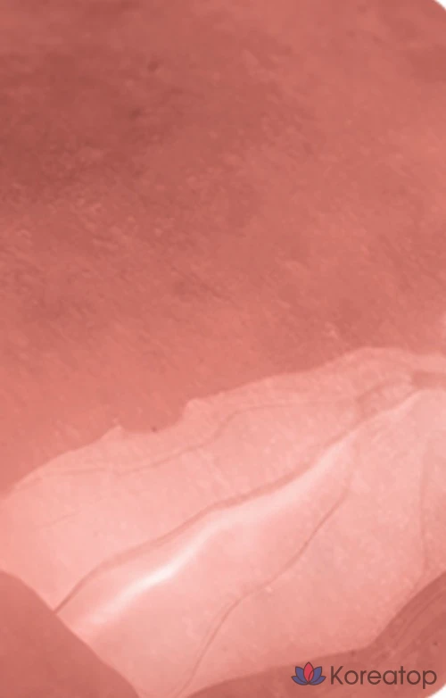 Rom&nd The Juicy Lasting Tint, 09 Mulled Peach, 1 шт., фото 2