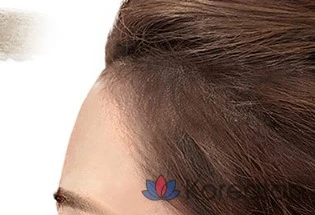 Карандаш для волос «Mise en Scene» Hello Cushion, 1 шт., цвет 6N «Шоколадно-коричневый», фото 3