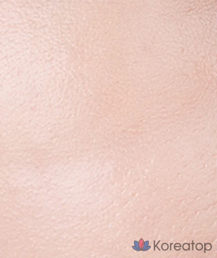 Сменный блок тонального крема Vanillaco Covericious Ultimate White Cushion Foundation, 14 г, 17 пар, 1 шт., фото 5