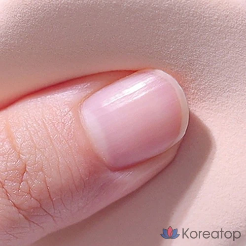 Набор для макияжа Espoir Bevelvet Air Puff, 7 шт., разные цвета, 1 шт.