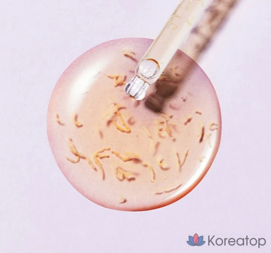 Ампульная сыворотка AMPLE:N Peptide Shot 2X Ampoule, 10 мл, 1 шт.