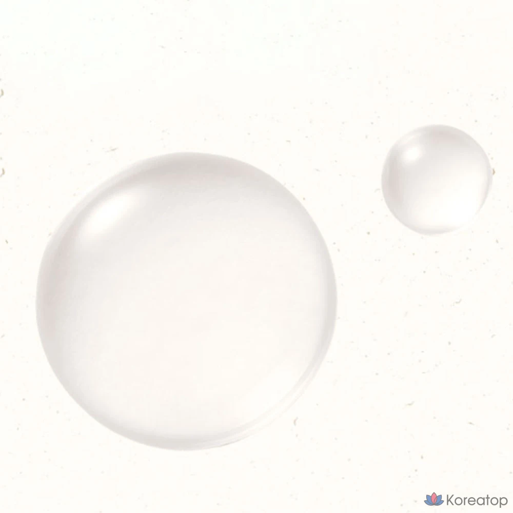 Подушечки для сужения пор Skinfood Acorn Pore Peptide, 2 упаковки (10 г), 1 упаковка (30 штук), фото 7