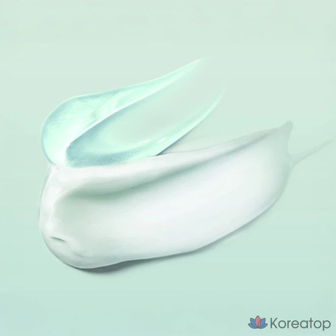 Шампунь KeraSys с имбирным маслом, охлаждающий, для снятия зуда кожи головы и перхоти, с ароматом цветков имбиря, 1 л, 1 шт.