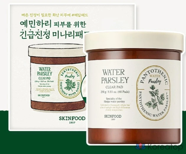Набор для планирования Skinfood Pantothenic Water Parsley Clear Pad Planning Set, 250 г, 60 листов, 1 шт.