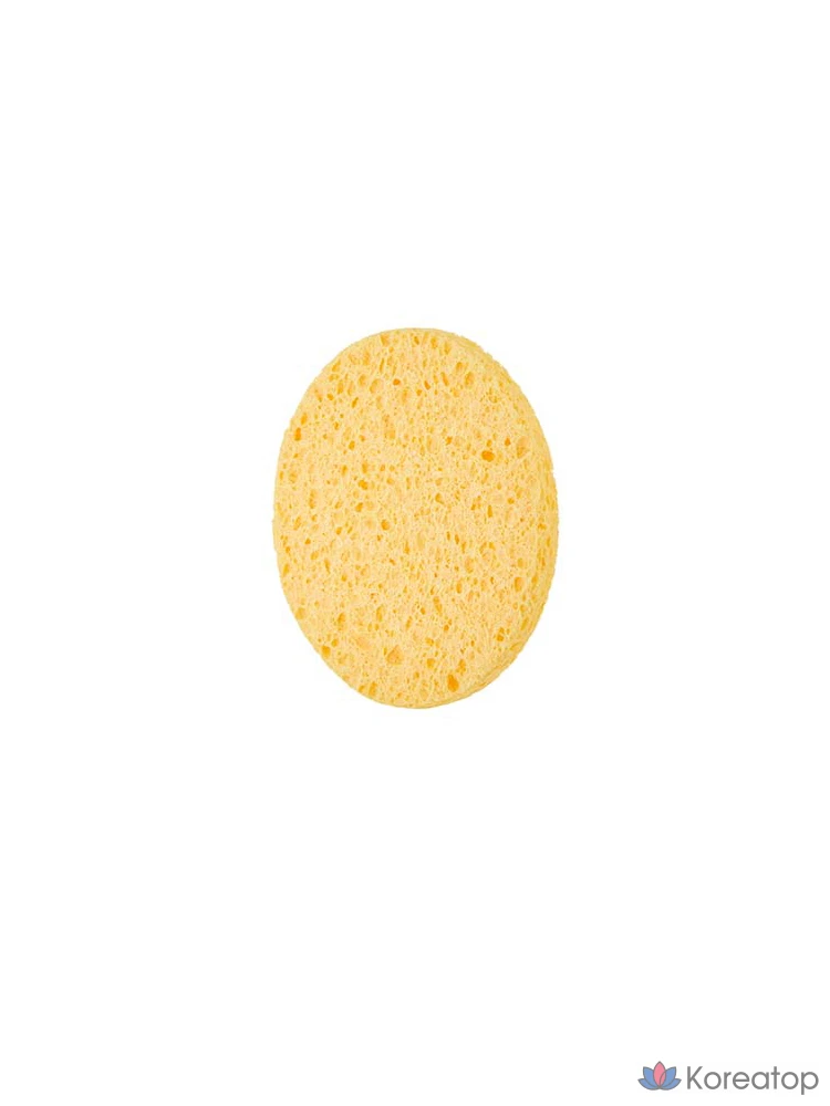 Очищающая губка из целлюлозы The Face Shop fmgt Daily Beauty Tools, 1 шт.