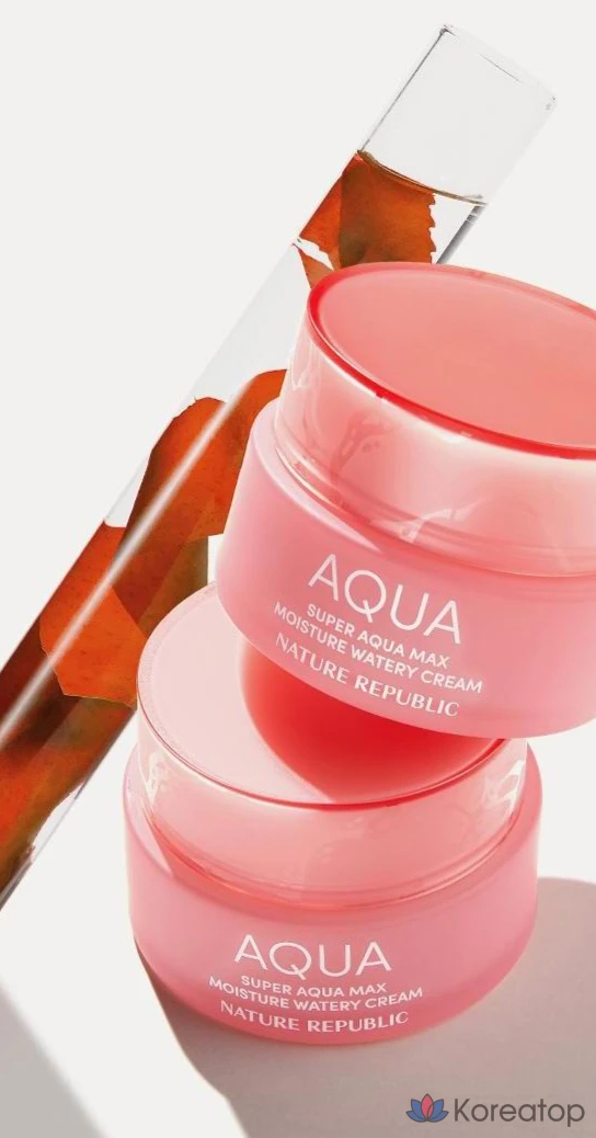 Крем для лица Nature Republic Super Aqua Max Moisture Cream для сухой кожи, 80 мл, 1 шт.