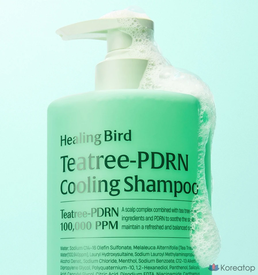 Шампунь Healing Bird Tea Tree PDRN Cooling, 500 мл, 1 шт.
