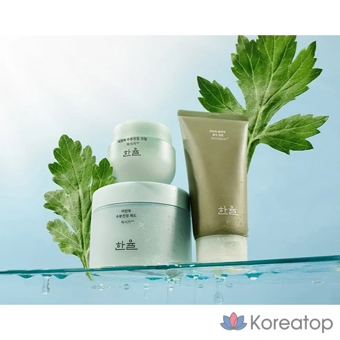 Увлажняющий успокаивающий крем Hanyul Young Artemisia