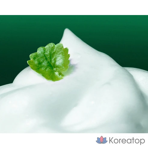 Очищающая пенка Dr.G Red Blemish Cica Cleansing Foam