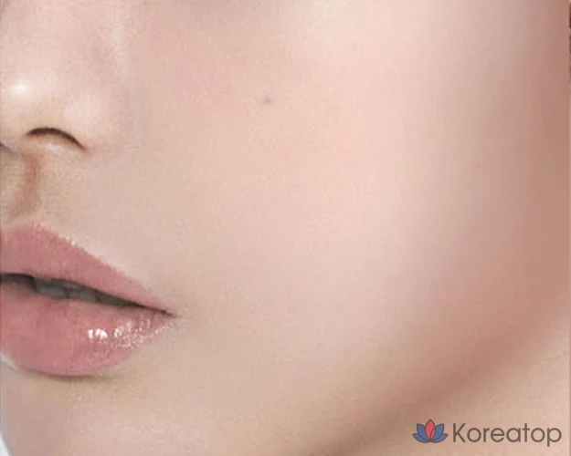 BBIA Last Blush, 4 г, 1 шт., 15 оттенков корицы и розы, фото 2