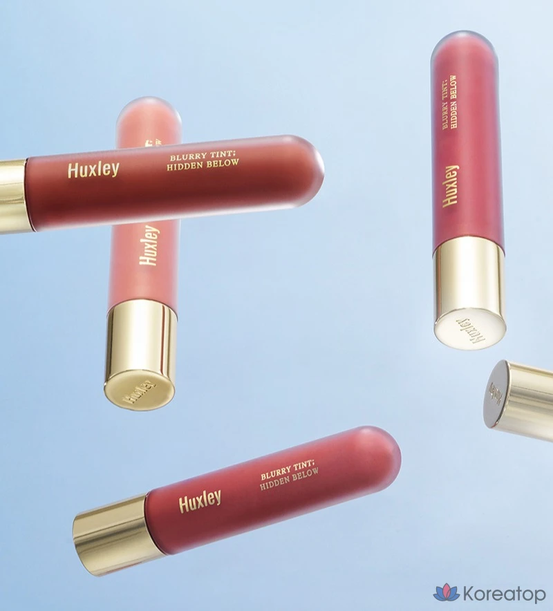 Тинт для губ Huxley Hidden Below Blurry Lip Tint 4,5 г, оттенок Terracora Brick, 1 шт., фото 4