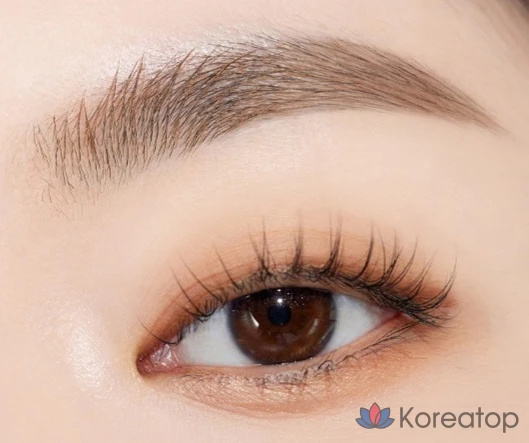 Набор Etude House Pure False Brow Cara 4,5 г + 9 г, № 4, натуральный коричневый, 1 шт.