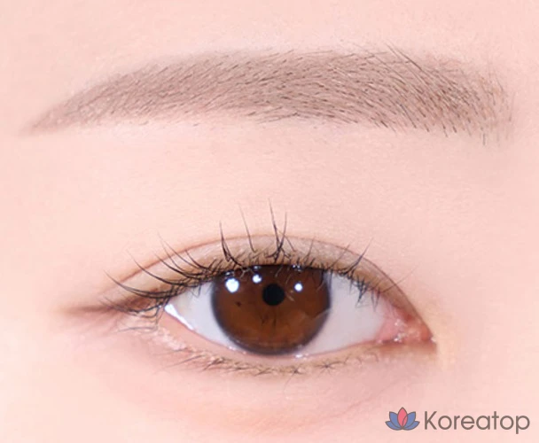 Карандаш для бровей Espoir The Brow Color Fixing Cara, оттенок 8 Ash Beige, 3 г, 1 шт., фото 2