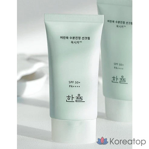 Увлажняющий успокаивающий солнцезащитный крем Hanyul Young Artemisia SPF50+ PA++++