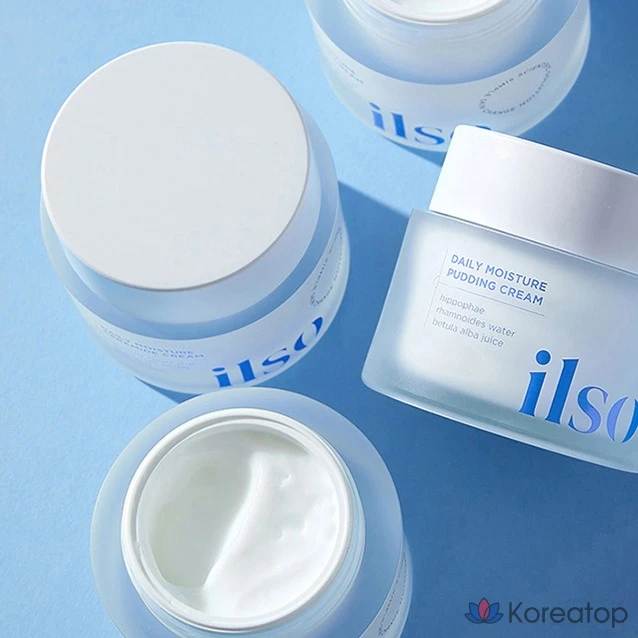 Увлажняющий крем-пудинг Ilso Daily Moisture Pudding Cream, 50 мл, 1 шт.