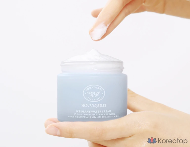 Натуральный веганский крем-мороженое So Natural So Vegan Ice Plant Water Cream, 70 мл, 1 шт.