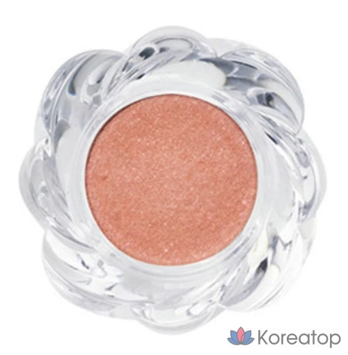 Тени для век Rainbow Mansion One & Only, оттенок Twisted Smoked Topaz, 1 шт., фото 3