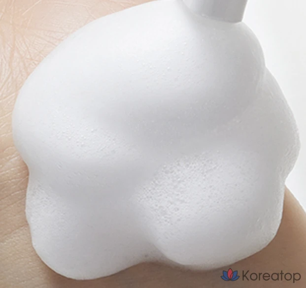 Очищающая пенка Dr. Banggiwon Nano Bubble Mild Cleansing Foam, 500 мл, 1 шт.