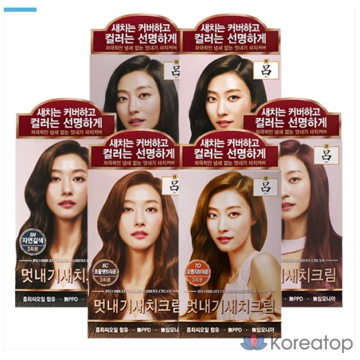 Краска для волос Ryo Ua Chae Stylish Gray Cover Cream Dye, 5N Natural Brown, 1 шт.