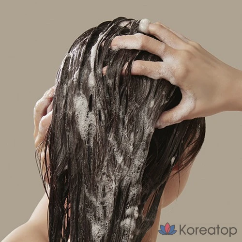 Восстанавливающий шампунь BEYOND Argan Therapy, 500 мл, 1 шт.