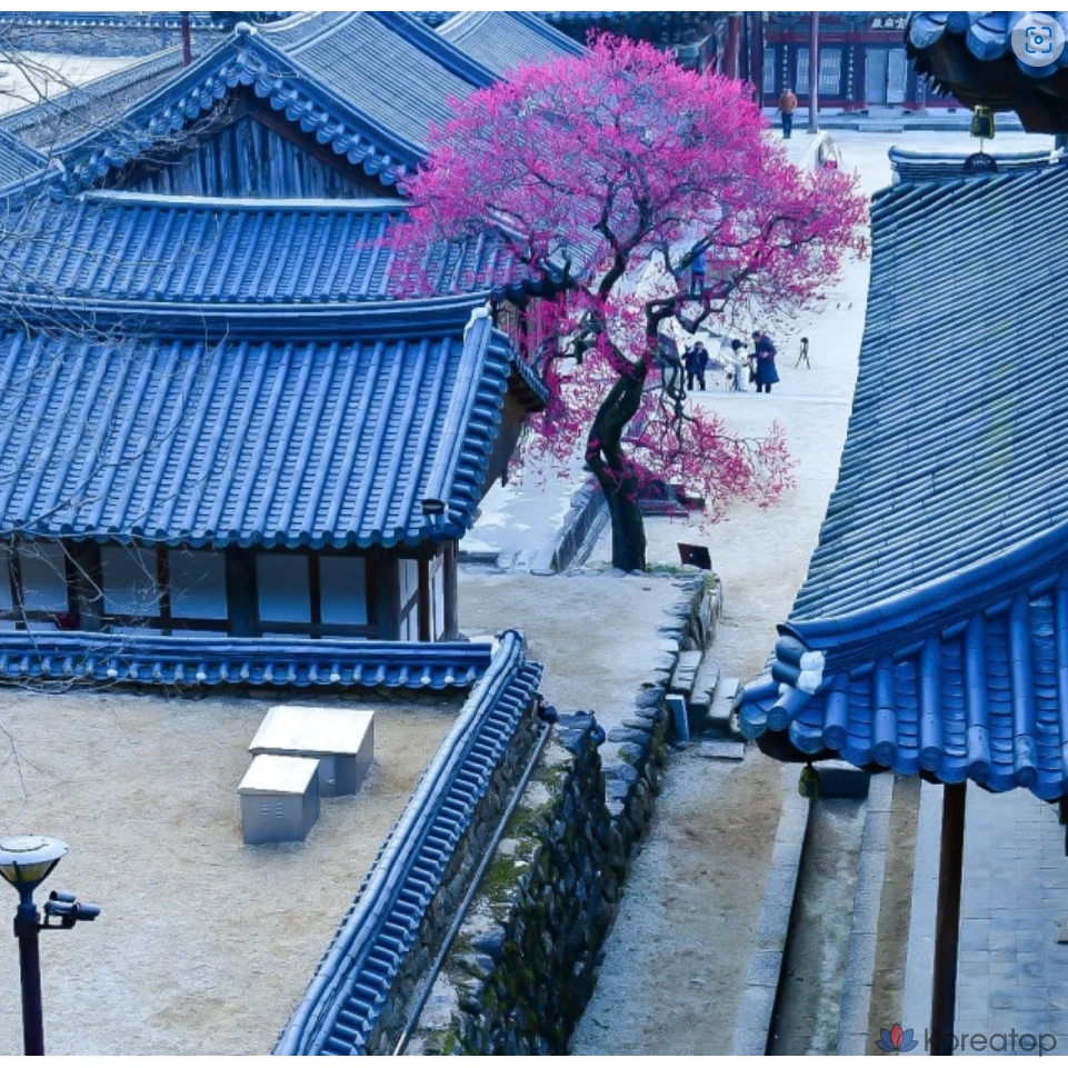 Спрей для придания объема волосам Francoise&amp;fragrance. Hwaeomsa Organic Radiance Volume Mist, 1 шт., 100 мл