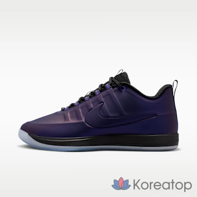 Баскетбольные кроссовки Nike Book 2 Premium EP, Varsity Purple