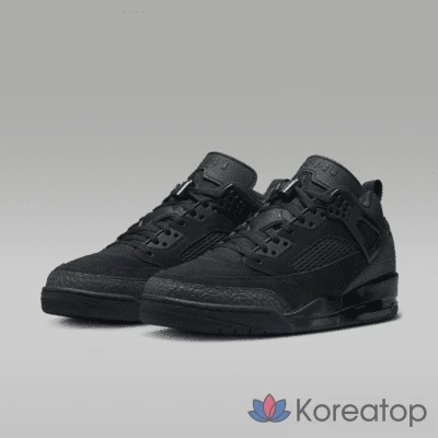Кроссовки мужские Jordan Spizike Low, фото 5