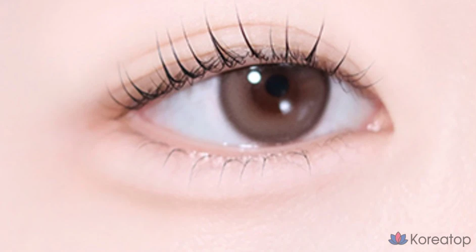 Матовые монотени для век The Saem Sammul, WH01 кремово-белые, 1 шт., фото 5