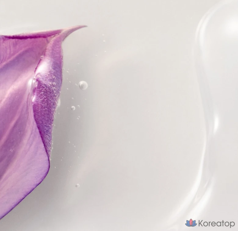 Innisfree Hanran Skin, 170 мл, 1 флакон