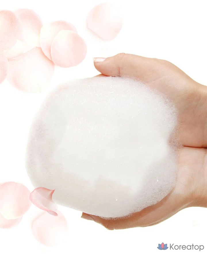 Шампунь Hair Plus Silk Coating с ароматом розы, ягод и мускуса, 1 л, 1 шт.