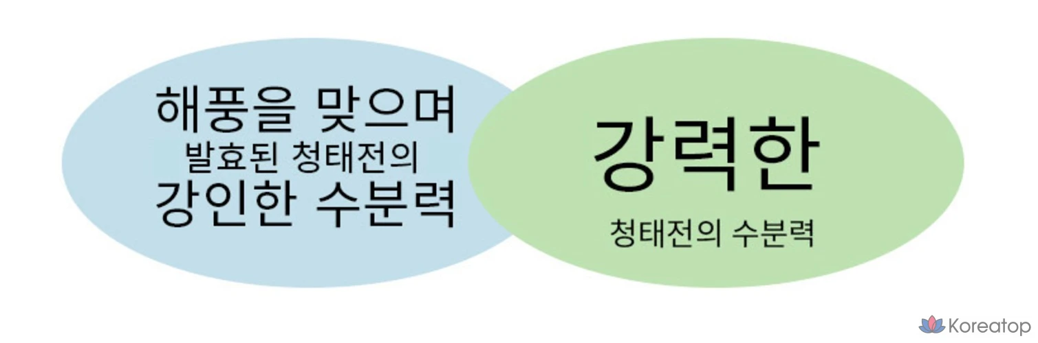 Увлажняющая сыворотка с зеленым чаем Tony Moly, 1 шт., 50 мл, фото 4