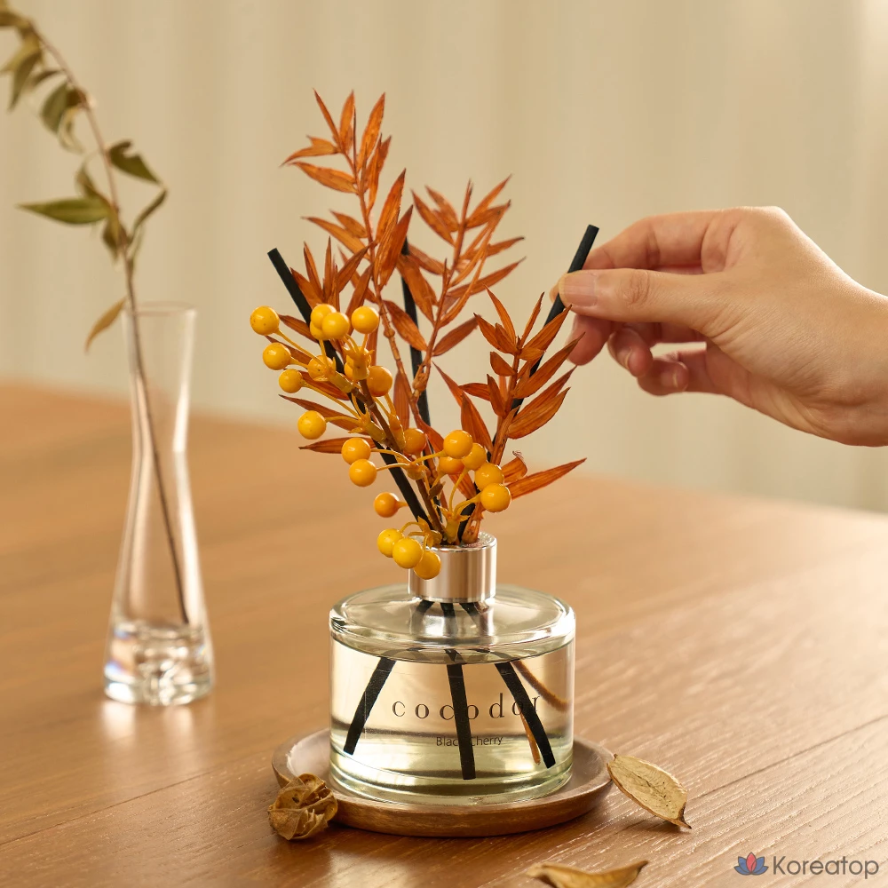 Диффузор для дома Cocodor Perfume Autumn Diffuser, Black Cherry, 200 мл, 6 шт., фото 3