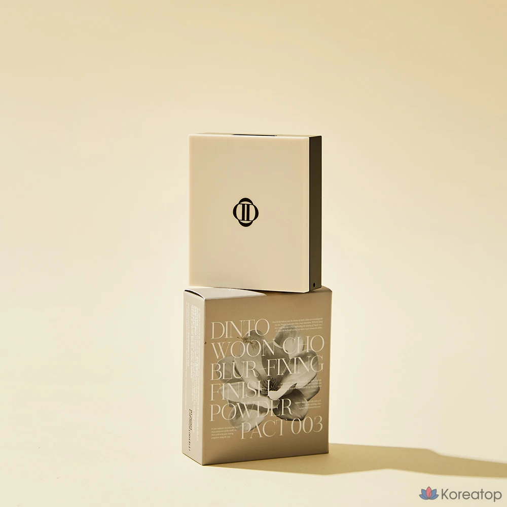 Dinto Uncho Blur Fixing Finish Powder, 10 г, 1 шт.