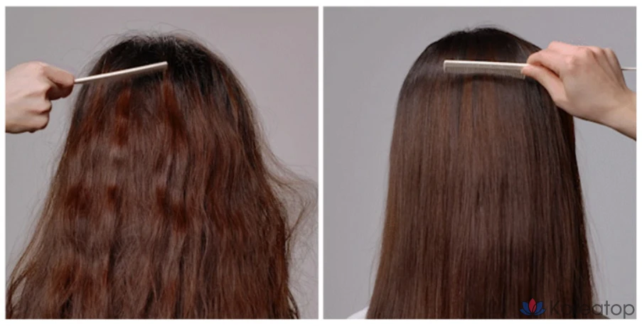 Шампунь Elastine Protein Clinic 10000 с марокканским аргановым маслом, 1 л + набор для ухода 700 мл, 1 шт.