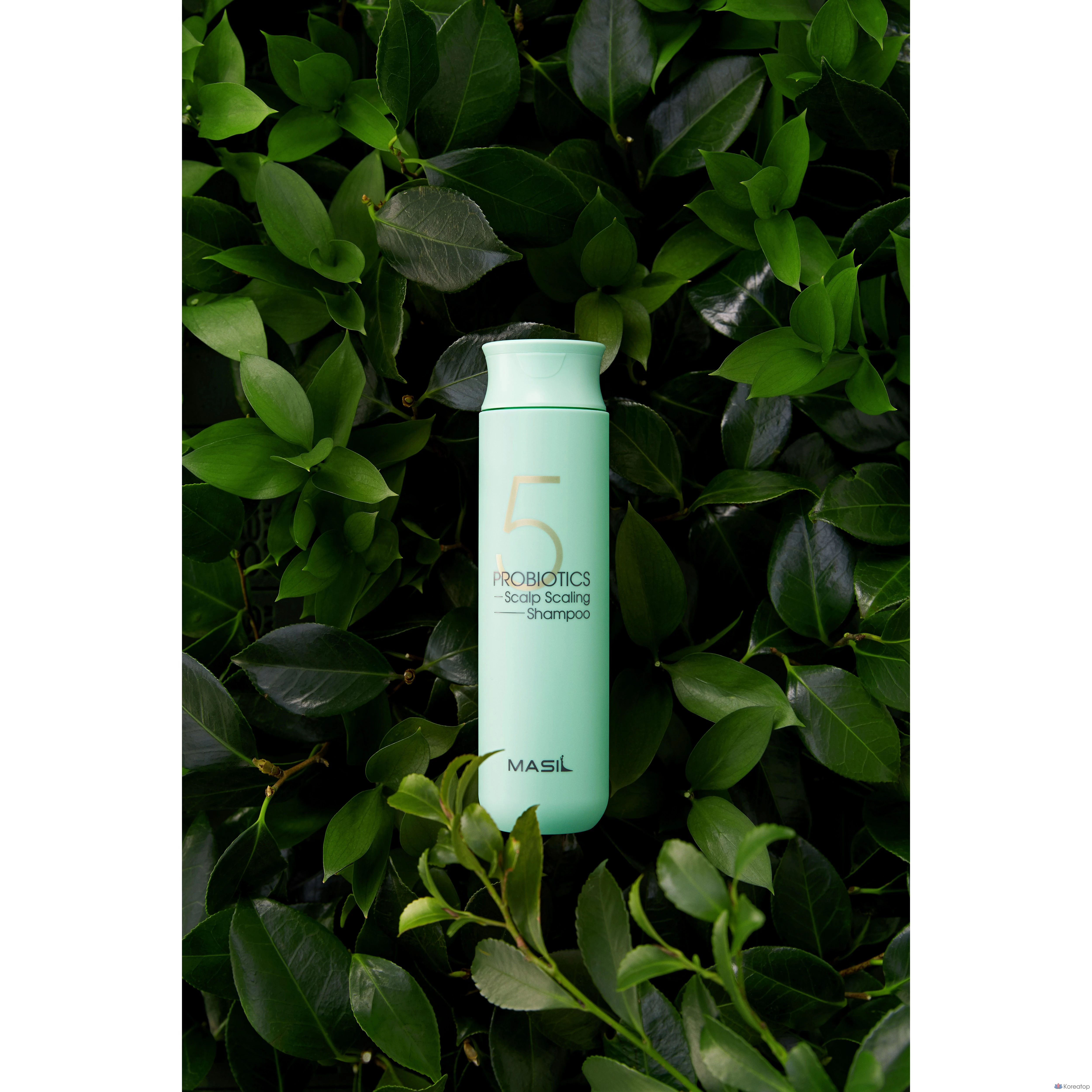 Шампунь Masil 5 Probiotic для очищения кожи головы от шелушения, 300 мл, 1 шт.