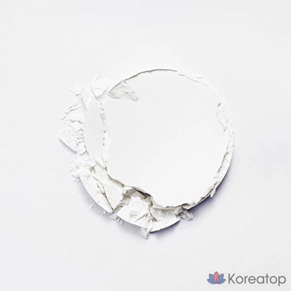 Holika Holika Puripore No-Sebum Pact, 1 шт.