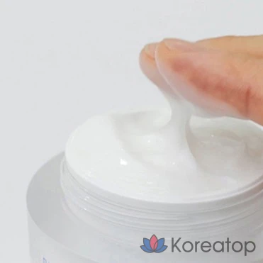 Увлажняющий крем-пудинг Ilso Daily Moisture Pudding Cream, 50 мл, 1 шт.