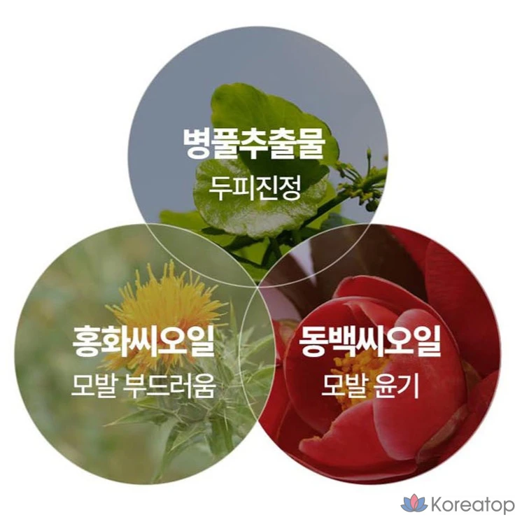 Пищевой краситель Ryo Ua Chae, 2N Dongang Black, 1 шт.